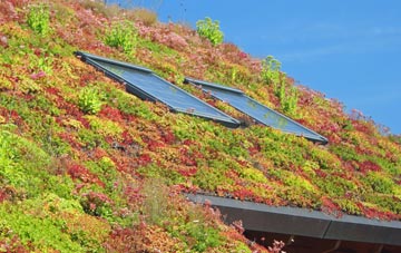 Backbower living roof systems