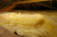 Backbower pitch roof insulation